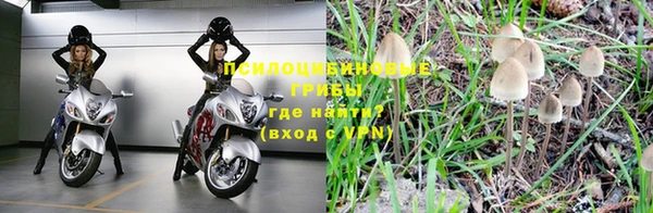 прущая мука Абинск