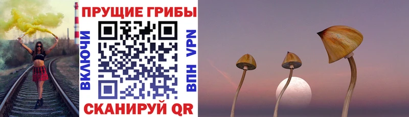 Псилоцибиновые грибы мухоморы  Вышний Волочёк 